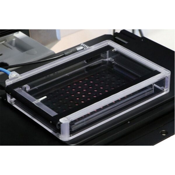 Copy of 0219 (1) Copy of 0219 (1)