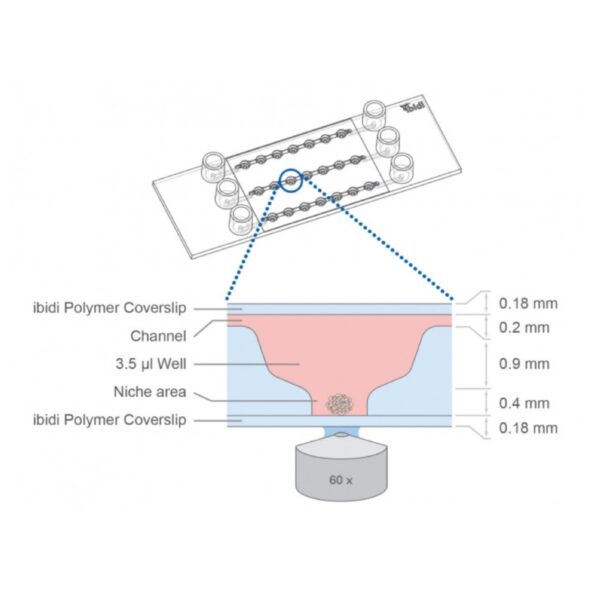 Copy of 0219 (10) Copy of 0219 (10)