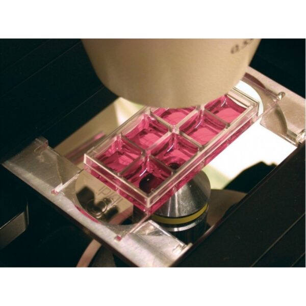 Copy of 0219 (11) Copy of 0219 (11)