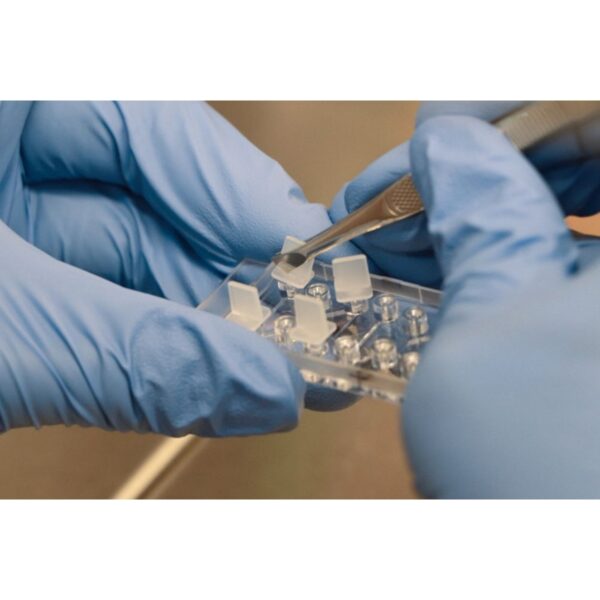 Copy of 0219 (5) Copy of 0219 (5)