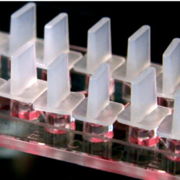 Copy of 0219 (6) Copy of 0219 (6)