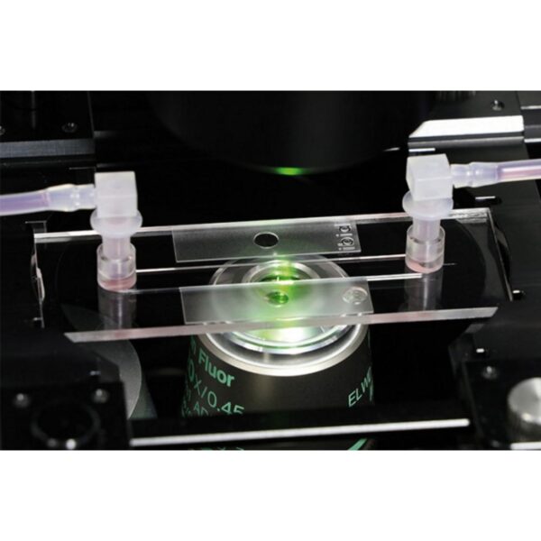 Copy of 0219 (7) Copy of 0219 (7)