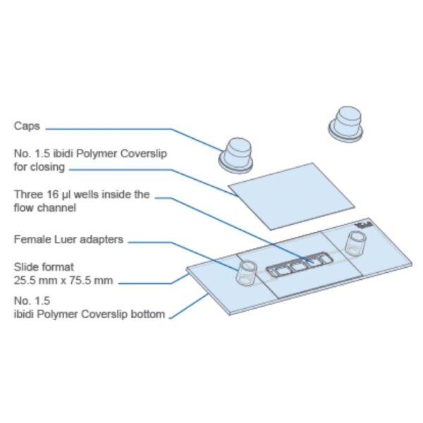 Copy of 0219 (8) Copy of 0219 (8)