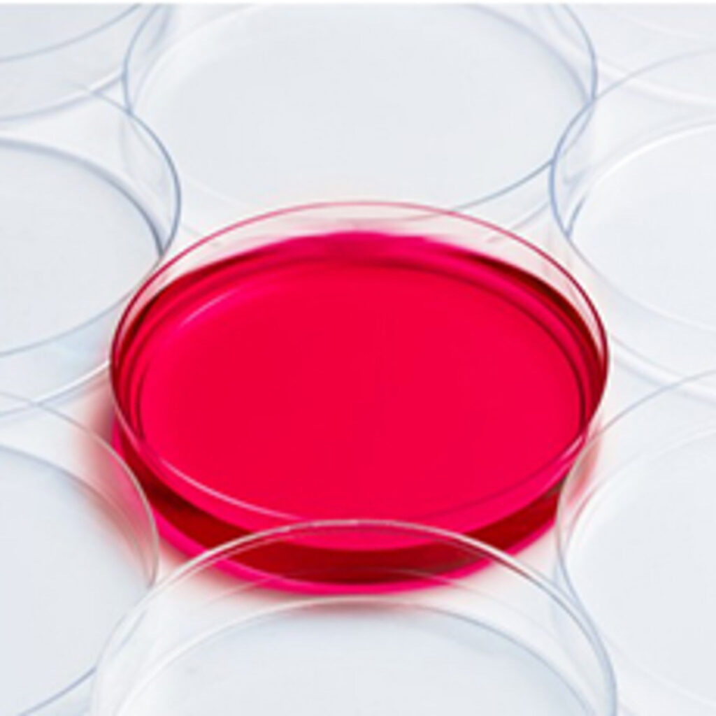 LabPRO - Petri Dishes - All Products | DKSH Technology