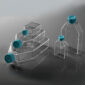 Image_Product_INS_Nest_CellCultureFlasks_1200x1200_JPG_01