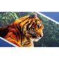 Image_Product_TEC_PPC_Sandon_Sleeves_1200x1200_JPG_02
