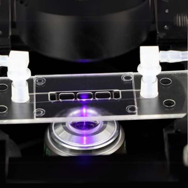 Image_TEC_INS_Ibidi_SlideLuer3D_1000x665_02_JPG_1200x1200 Image_TEC_INS_Ibidi_SlideLuer3D_1000x665_02_JPG_1200x1200