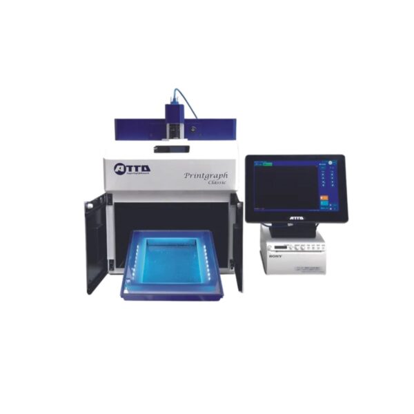 Copy of 0219-19 Copy of 0219-19