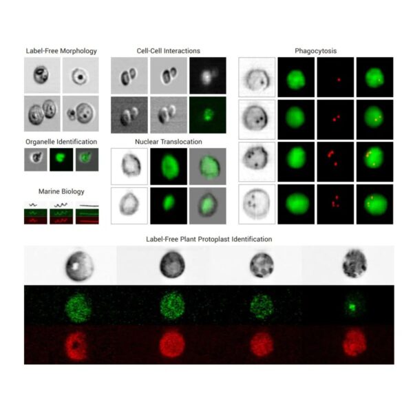 Image_Product_TEC_SCS_NanoCellect_VerloImageGuidedCellSorter_1200x1200_JPG_02 Image_Product_TEC_SCS_NanoCellect_VerloImageGuidedCellSorter_1200x1200_JPG_02