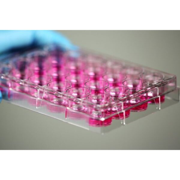 Image_Product_INS_Nest_CellCulturePlates_600x400_JPG_02-1.jpg Image_Product_INS_Nest_CellCulturePlates_600x400_JPG_02-1.jpg