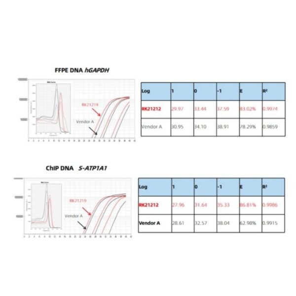 Image_Product_TEC_INS_ABclonal_Molecular_Biology_Reagent_02.jpg Image_Product_TEC_INS_ABclonal_Molecular_Biology_Reagent_02.jpg