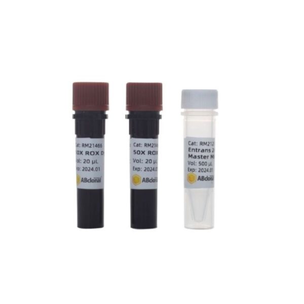 Image_Product_TEC_INS_ABclonal_Molecular_Biology_Reagent_03.jpg Image_Product_TEC_INS_ABclonal_Molecular_Biology_Reagent_03.jpg