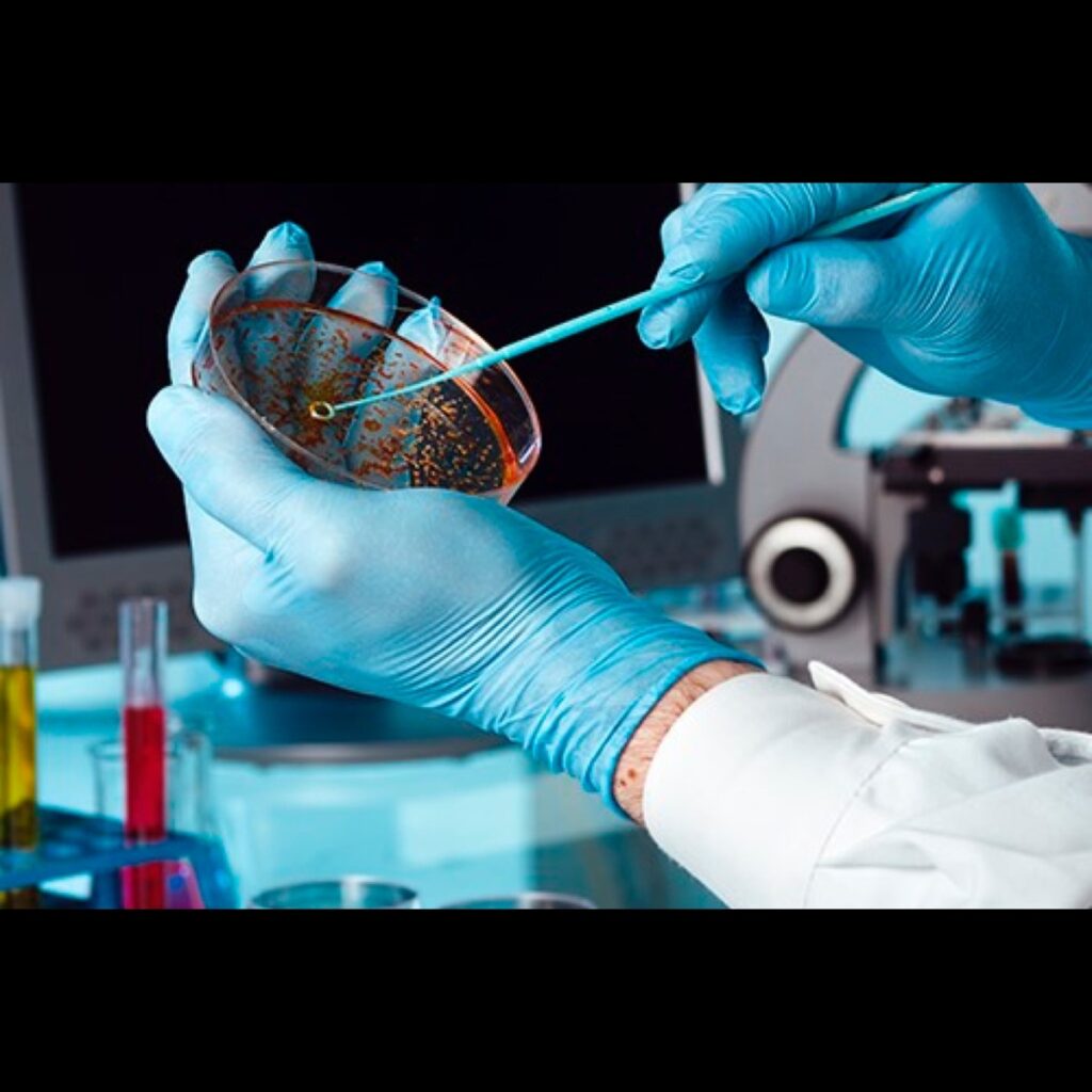 Biokar - Microbiology - Reagents, Supplements and Additives - All ...