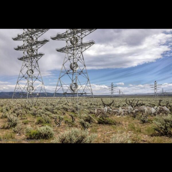 comp_Image_Product_FlowGen_1000x665_JPG_031.jpg comp_Image_Product_FlowGen_1000x665_JPG_031.jpg