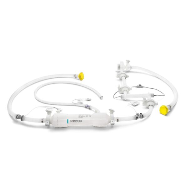 hallow-02-done.jpg hallow-02-done.jpg