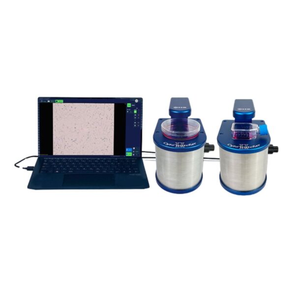 Copy of 0219 Copy of 0219